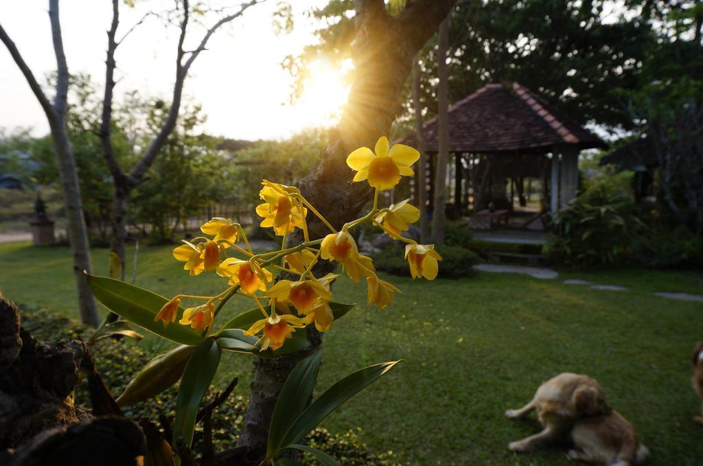 Bannamhoo Bungalows Pai Buitenkant foto