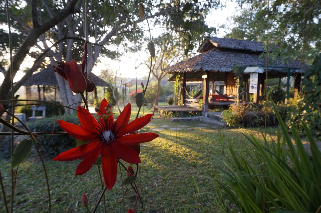 Bannamhoo Bungalows Pai Buitenkant foto